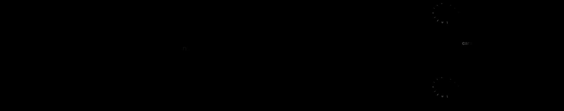 SISTEMA_WISNIK_POEMA_RE01_H264.mov