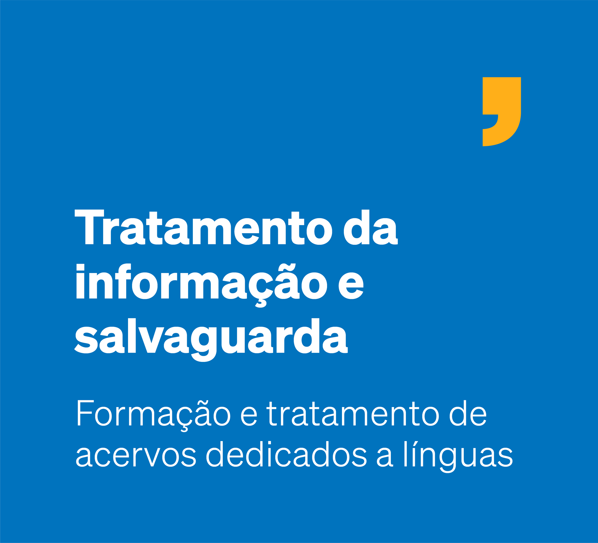 Formação de acervos dedicados a línguas: tratamento da informação e salvaguarda